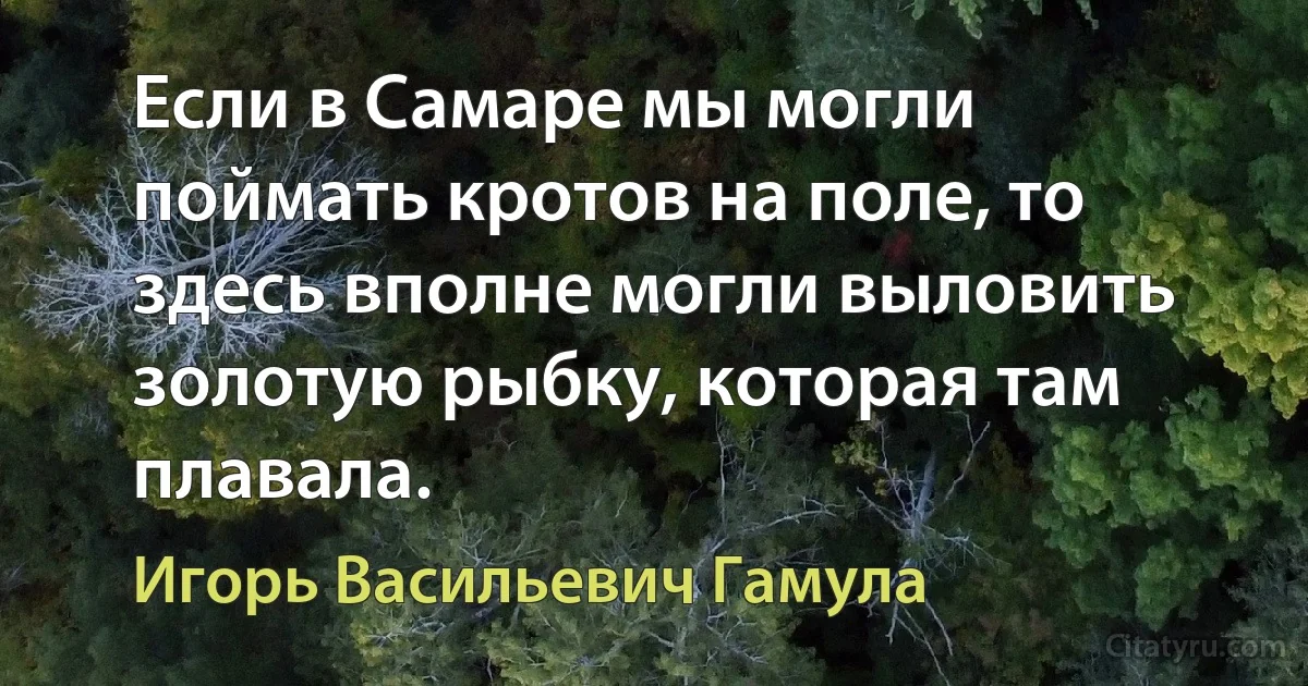 Если в Самаре мы могли поймать кротов на поле, то здесь вполне могли выловить золотую рыбку, которая там плавала. (Игорь Васильевич Гамула)