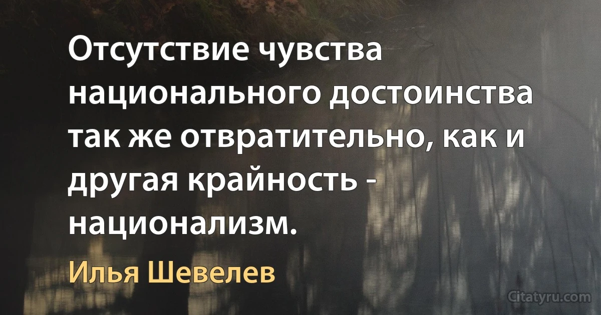 Отсутствие чувства национального достоинства так же отвратительно, как и другая крайность - национализм. (Илья Шевелев)