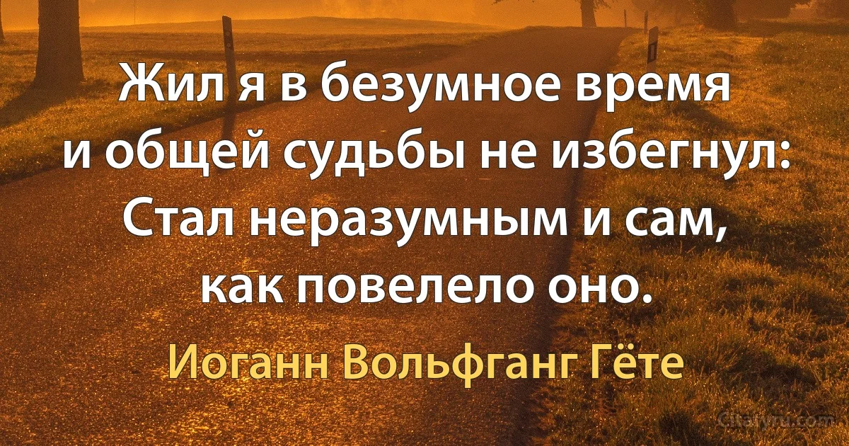 Жил я в безумное время
и общей судьбы не избегнул:
Стал неразумным и сам,
как повелело оно. (Иоганн Вольфганг Гёте)