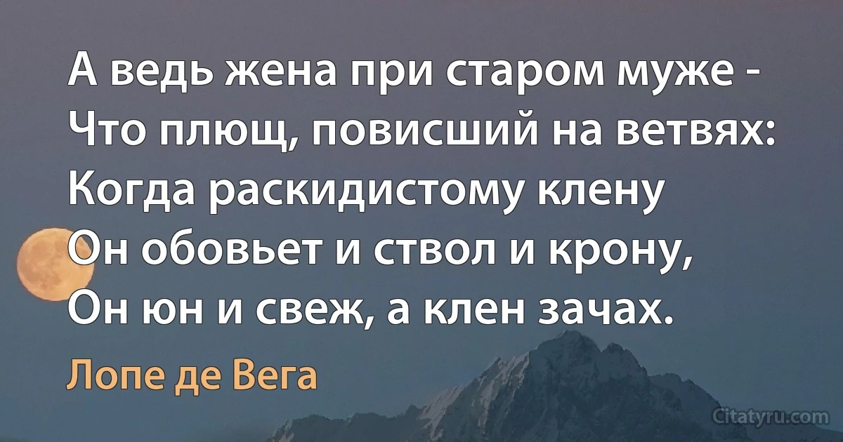 А ведь жена при старом муже -
Что плющ, повисший на ветвях:
Когда раскидистому клену
Он обовьет и ствол и крону,
Он юн и свеж, а клен зачах. (Лопе де Вега)