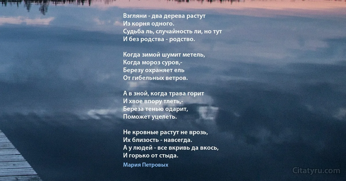 Взгляни - два дерева растут
Из корня одного.
Судьба ль, случайность ли, но тут
И без родства - родство.

Когда зимой шумит метель,
Когда мороз суров,-
Березу охраняет ель
От гибельных ветров.

А в зной, когда трава горит
И хвое впору тлеть,-
Береза тенью одарит,
Поможет уцелеть.

Не кровные растут не врозь,
Их близость - навсегда.
А у людей - все вкривь да вкось,
И горько от стыда. (Мария Петровых)