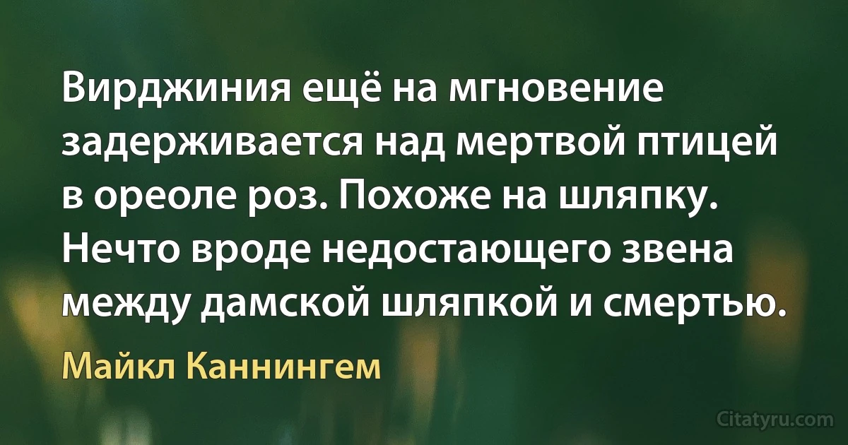 Вирджиния ещё на мгновение задерживается над мертвой птицей в ореоле роз. Похоже на шляпку. Нечто вроде недостающего звена между дамской шляпкой и смертью. (Майкл Каннингем)