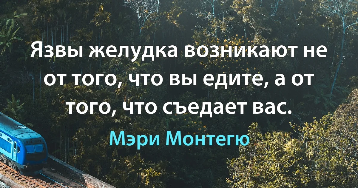 Язвы желудка возникают не от того, что вы едите, а от того, что съедает вас. (Мэри Монтегю)