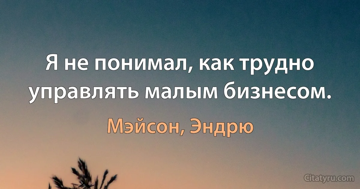 Я не понимал, как трудно управлять малым бизнесом. (Мэйсон, Эндрю)