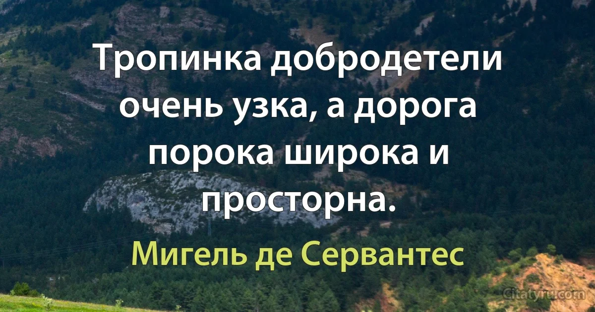 Тропинка добродетели очень узка, а дорога порока широка и просторна. (Мигель де Сервантес)