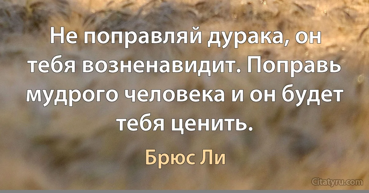 Не поправляй дурака, он тебя возненавидит. Поправь мудрого человека и он будет тебя ценить. (Брюс Ли)