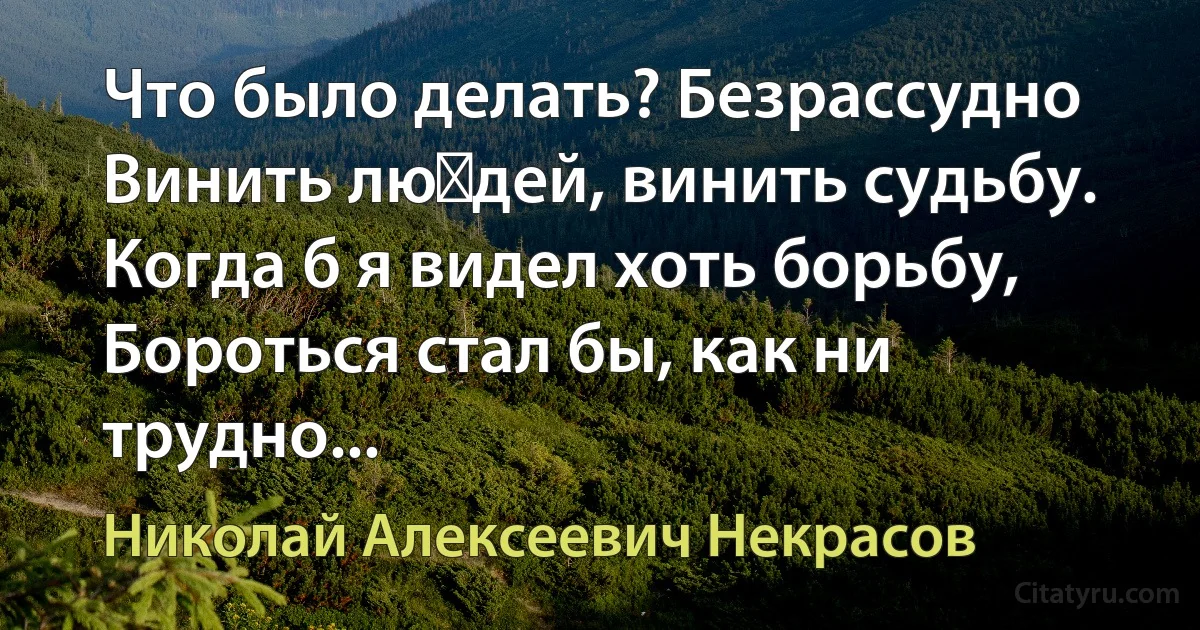 Что было делать? Безрассудно
Винить лю‏дей, винить судьбу.
Когда б я видел хоть борьбу,
Бороться стал бы, как ни трудно... (Николай Алексеевич Некрасов)