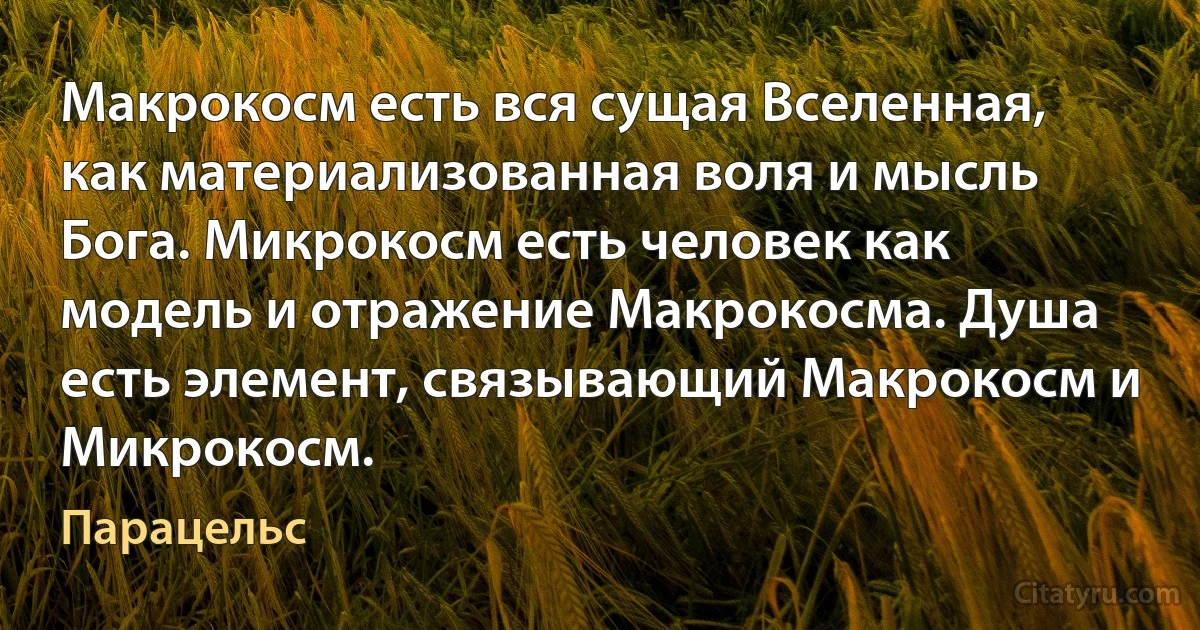 Макрокосм есть вся сущая Вселенная, как материализованная воля и мысль Бога. Микрокосм есть человек как модель и отражение Макрокосма. Душа есть элемент, связывающий Макрокосм и Микрокосм. (Парацельс)