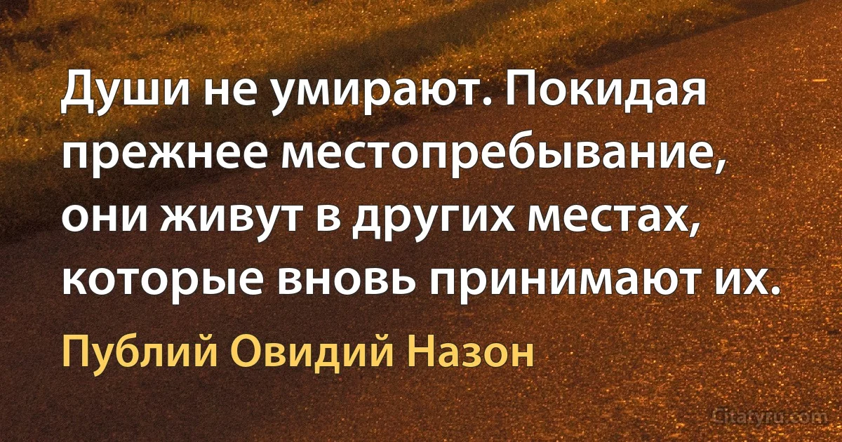 Души не умирают. Покидая прежнее местопребывание, они живут в других местах, которые вновь принимают их. (Публий Овидий Назон)