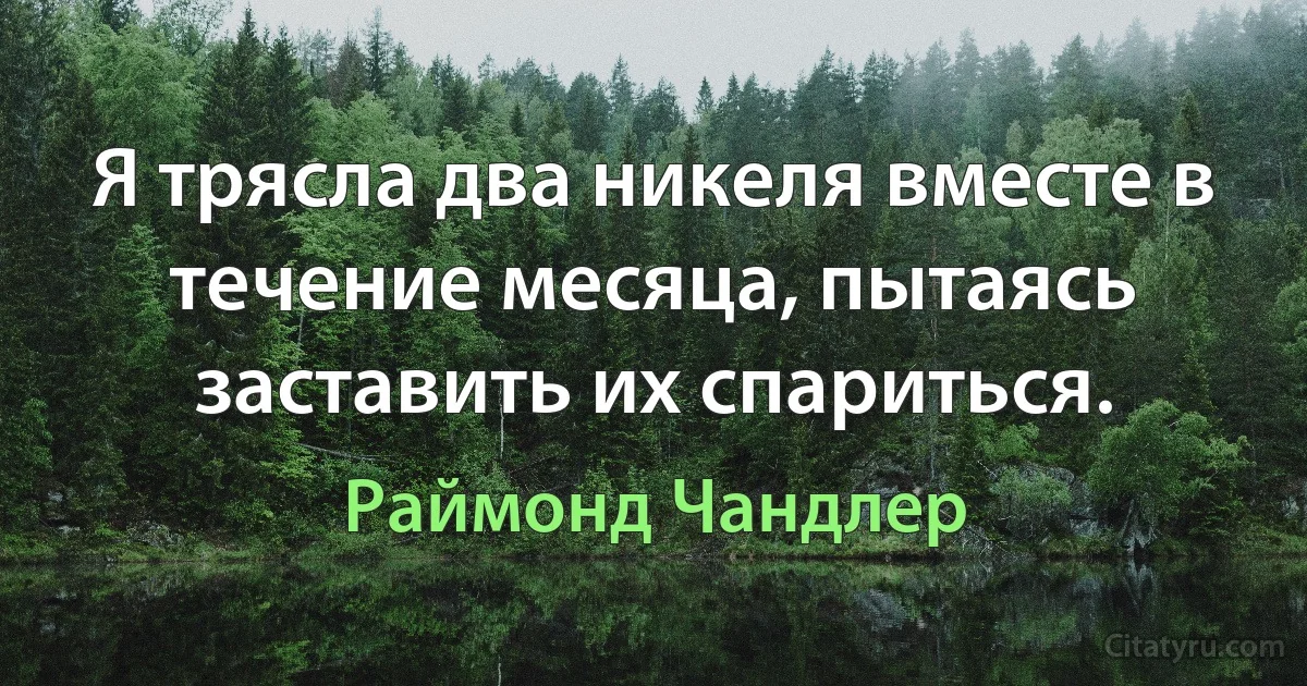 Я трясла два никеля вместе в течение месяца, пытаясь заставить их спариться. (Раймонд Чандлер)