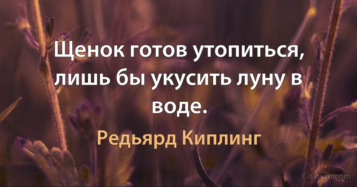 Щенок готов утопиться, лишь бы укусить луну в воде. (Редьярд Киплинг)