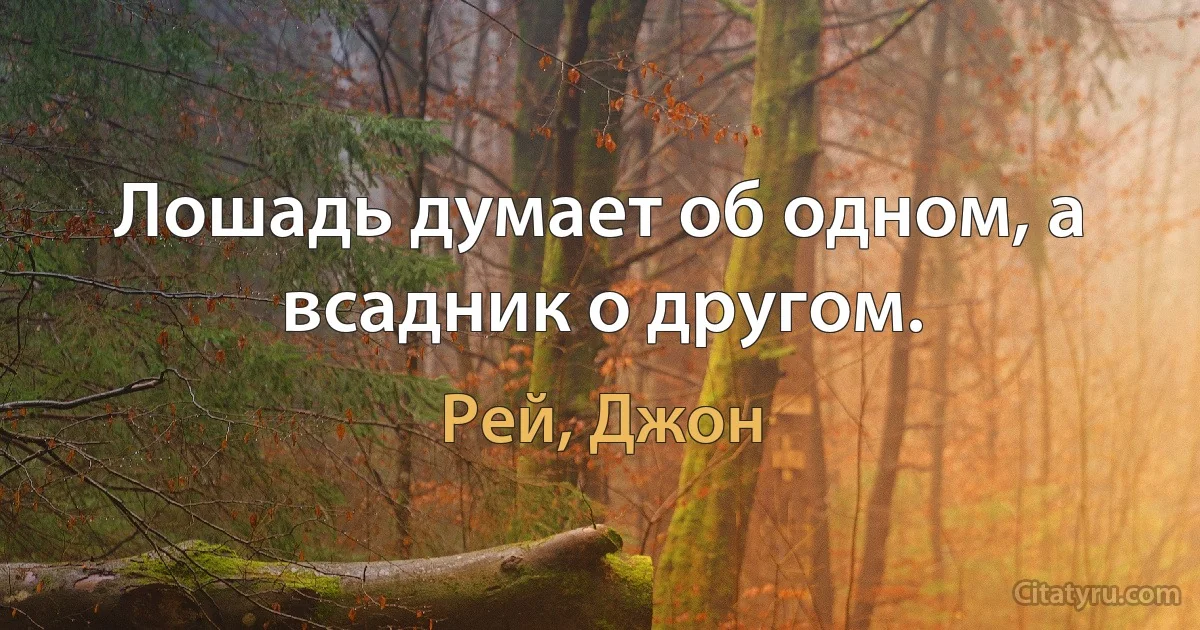 Лошадь думает об одном, а всадник о другом. (Рей, Джон)