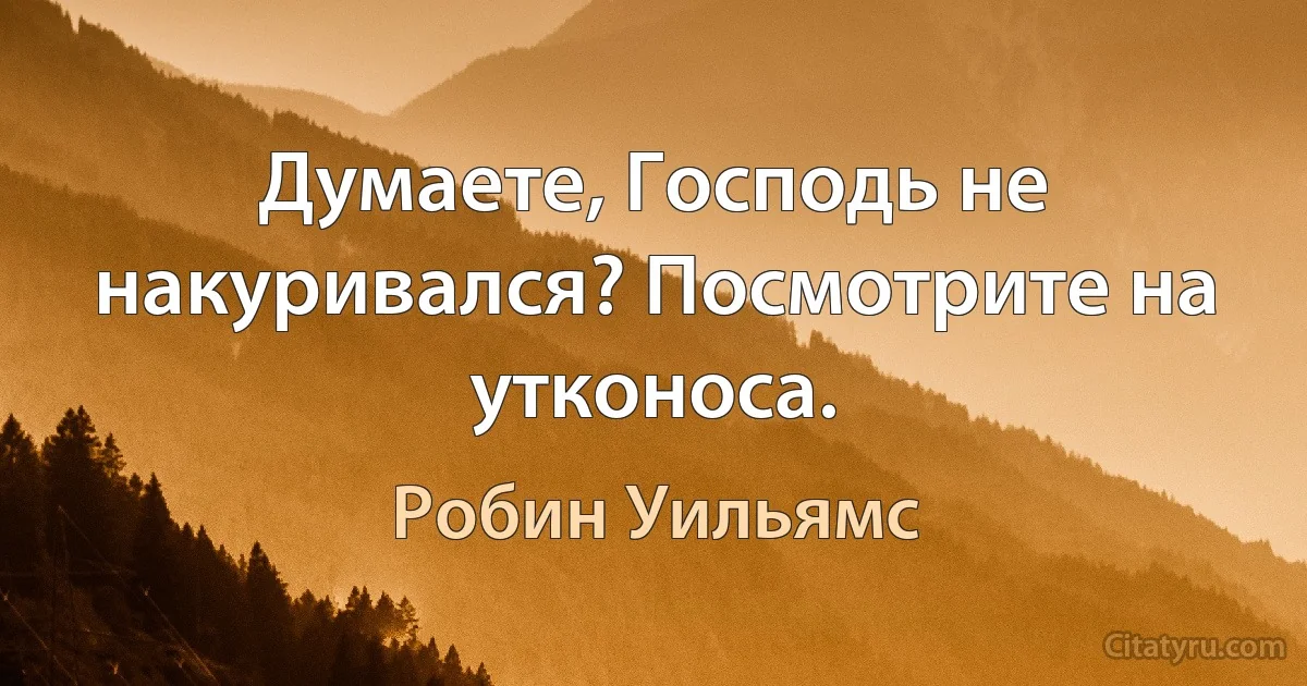 Думаете, Господь не накуривался? Посмотрите на утконоса. (Робин Уильямс)