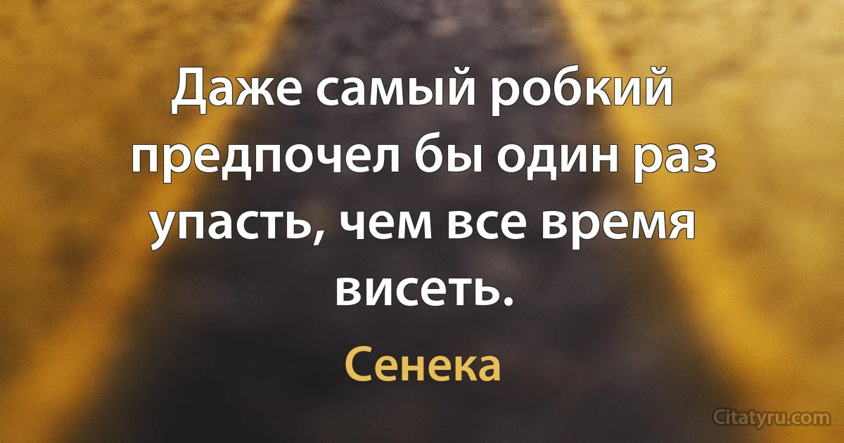 Даже самый робкий предпочел бы один раз упасть, чем все время висеть. (Сенека)