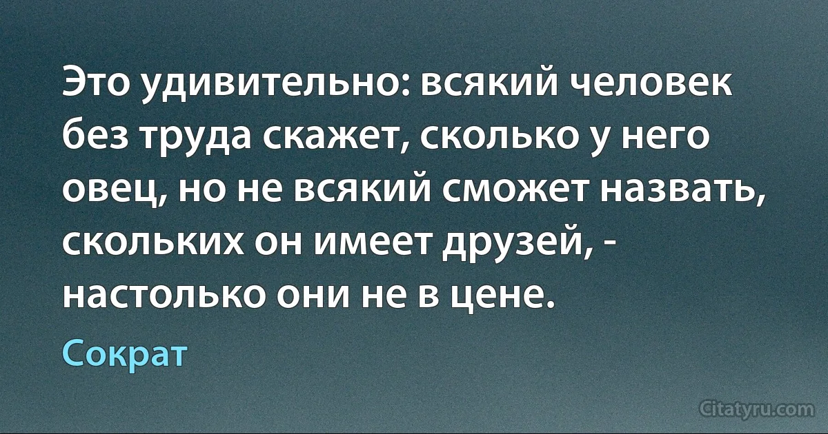 Это удивительно: всякий человек без труда скажет, сколько у него овец, но не всякий сможет назвать, скольких он имеет друзей, - настолько они не в цене. (Сократ)