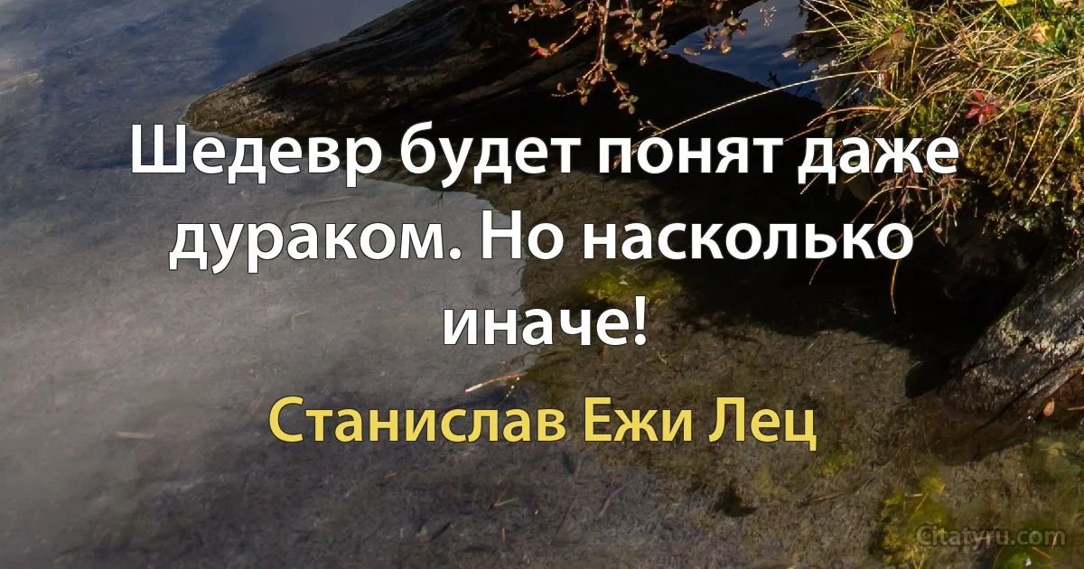 Шедевр будет понят даже дураком. Но насколько иначе! (Станислав Ежи Лец)