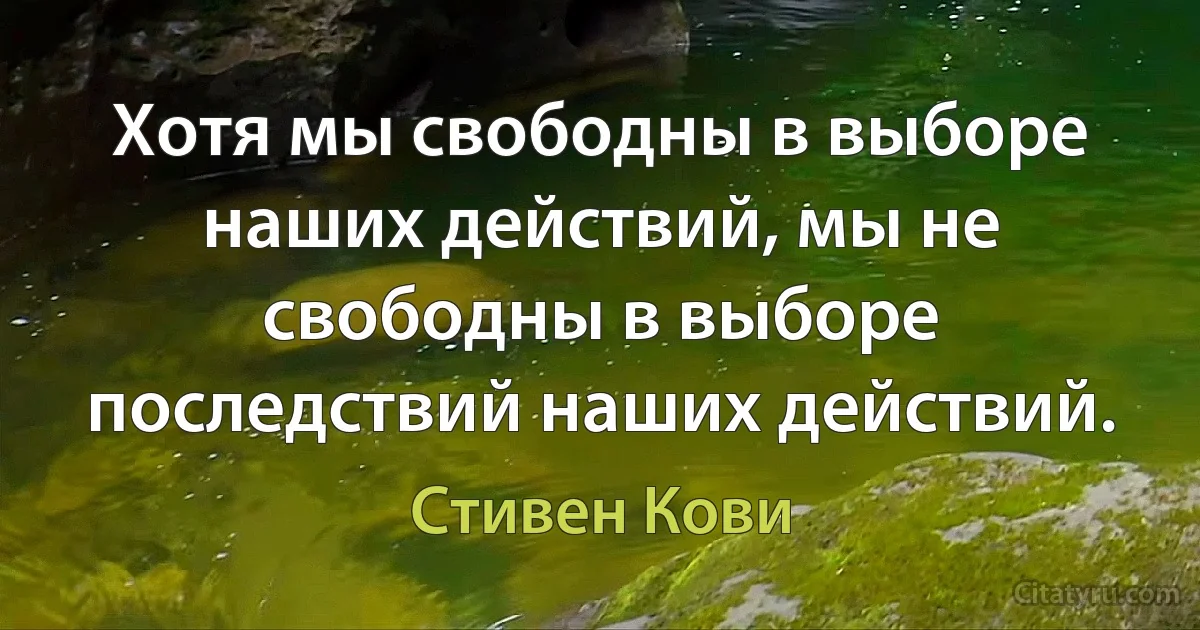 Хотя мы свободны в выборе наших действий, мы не свободны в выборе последствий наших действий. (Стивен Кови)