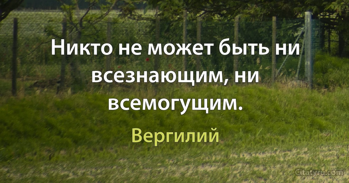 Никто не может быть ни всезнающим, ни всемогущим. (Вергилий)