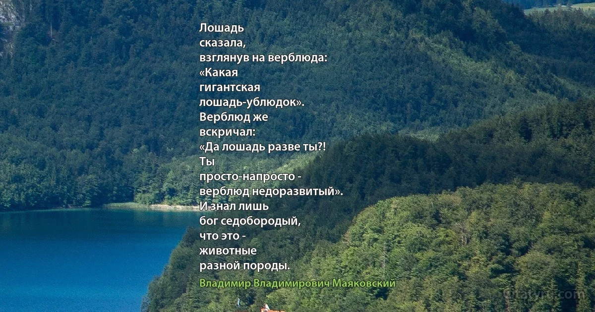 Лошадь
сказала,
взглянув на верблюда:
«Какая
гигантская
лошадь-ублюдок».
Верблюд же
вскричал:
«Да лошадь разве ты?!
Ты
просто-напросто -
верблюд недоразвитый».
И знал лишь
бог седобородый,
что это -
животные
разной породы. (Владимир Владимирович Маяковский)