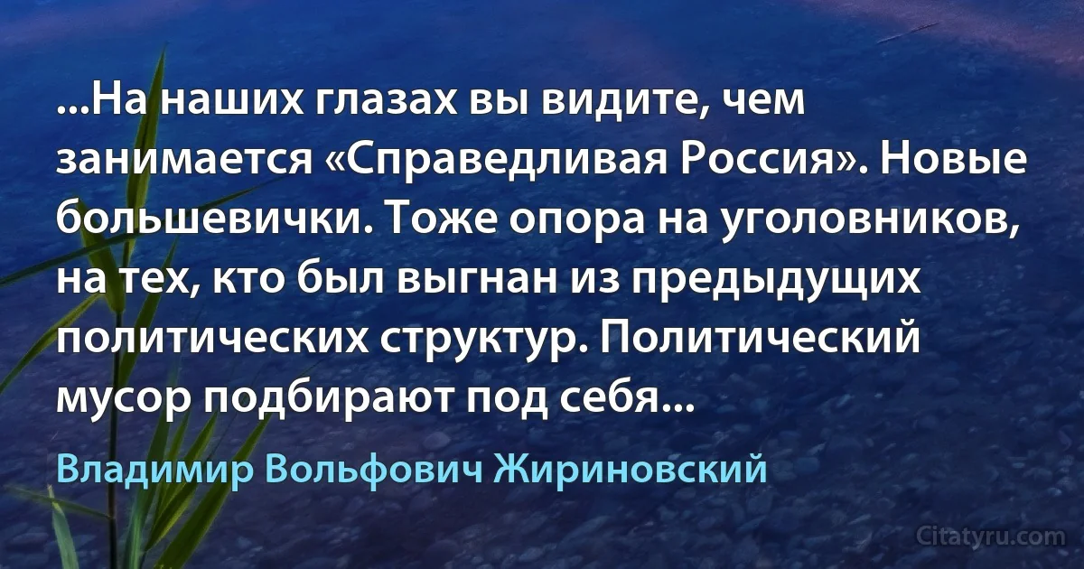 ...На наших глазах вы видите, чем занимается «Справедливая Россия». Новые большевички. Тоже опора на уголовников, на тех, кто был выгнан из предыдущих политических структур. Политический мусор подбирают под себя... (Владимир Вольфович Жириновский)