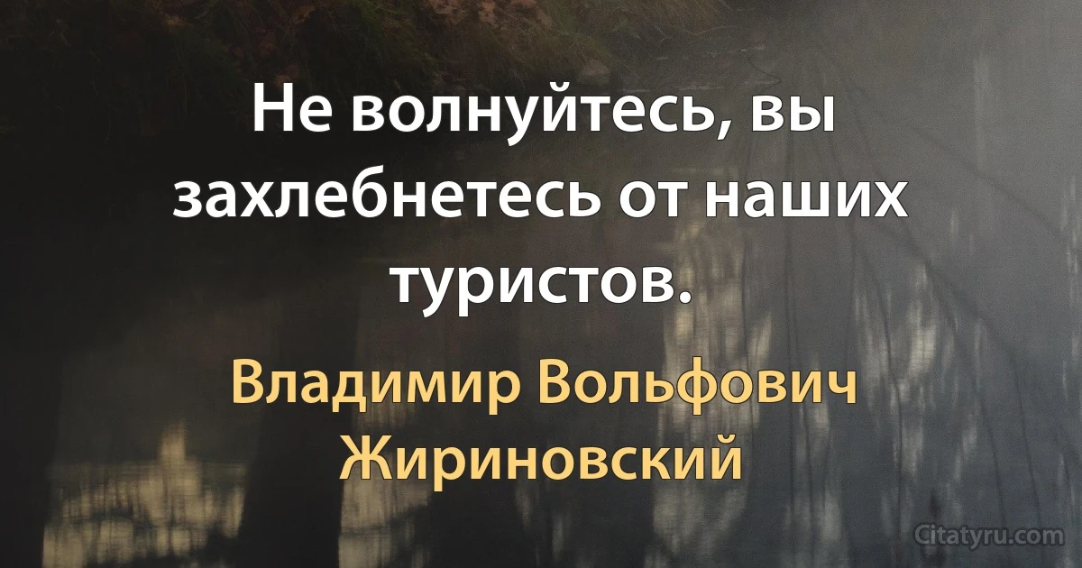 Не волнуйтесь, вы захлебнетесь от наших туристов. (Владимир Вольфович Жириновский)