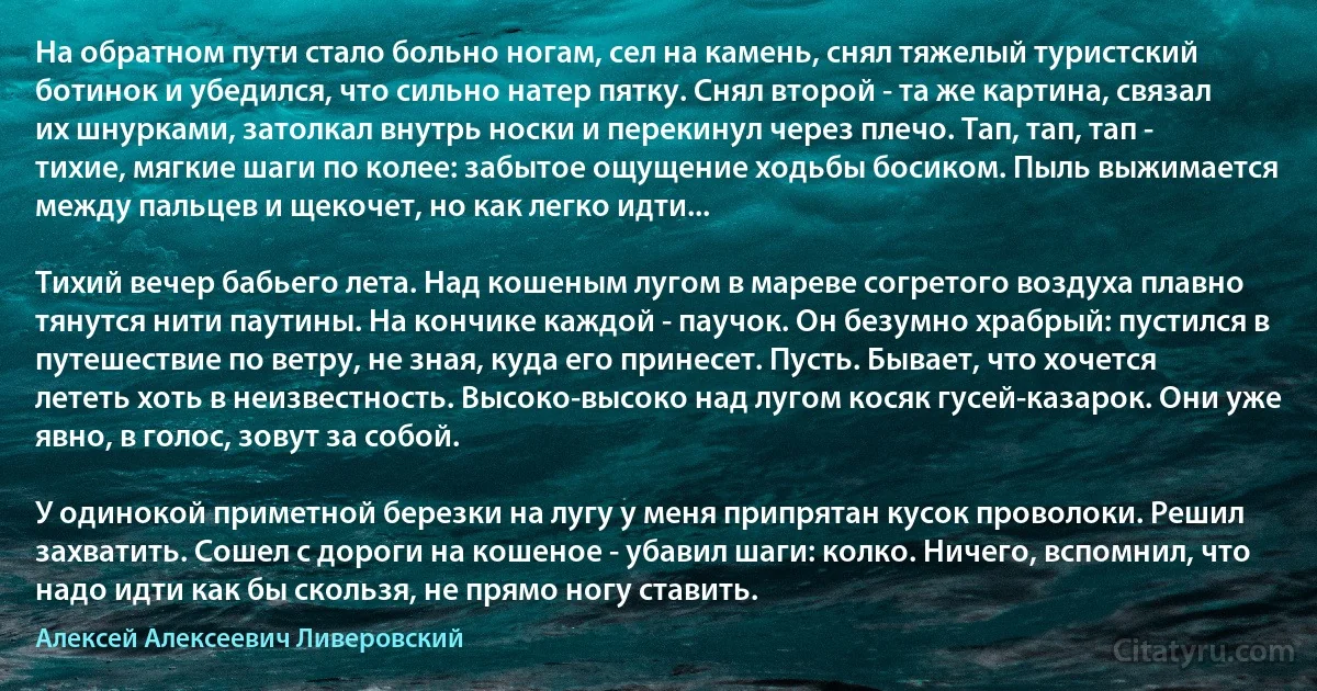 На обратном пути стало больно ногам, сел на камень, снял тяжелый туристский ботинок и убедился, что сильно натер пятку. Снял второй - та же картина, связал их шнурками, затолкал внутрь носки и перекинул через плечо. Тап, тап, тап - тихие, мягкие шаги по колее: забытое ощущение ходьбы босиком. Пыль выжимается между пальцев и щекочет, но как легко идти...

Тихий вечер бабьего лета. Над кошеным лугом в мареве согретого воздуха плавно тянутся нити паутины. На кончике каждой - паучок. Он безумно храбрый: пустился в путешествие по ветру, не зная, куда его принесет. Пусть. Бывает, что хочется лететь хоть в неизвестность. Высоко-высоко над лугом косяк гусей-казарок. Они уже явно, в голос, зовут за собой.

У одинокой приметной березки на лугу у меня припрятан кусок проволоки. Решил захватить. Сошел с дороги на кошеное - убавил шаги: колко. Ничего, вспомнил, что надо идти как бы скользя, не прямо ногу ставить. (Алексей Алексеевич Ливеровский)