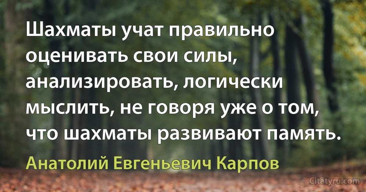 Шахматы учат правильно оценивать свои силы, анализировать, логически мыслить, не говоря уже о том, что шахматы развивают память. (Анатолий Евгеньевич Карпов)