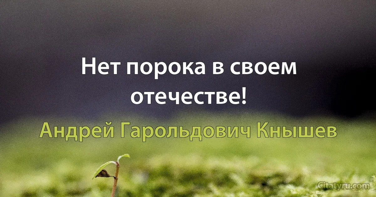 Нет порока в своем отечестве! (Андрей Гарольдович Кнышев)