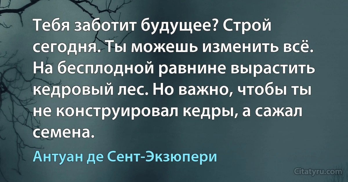 Тебя заботит будущее? Строй сегодня. Ты можешь изменить всё. На бесплодной равнине вырастить кедровый лес. Но важно, чтобы ты не конструировал кедры, а сажал семена. (Антуан де Сент-Экзюпери)