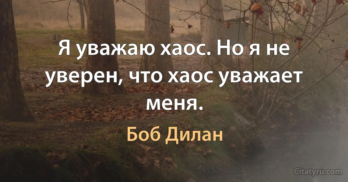 Я уважаю хаос. Но я не уверен, что хаос уважает меня. (Боб Дилан)