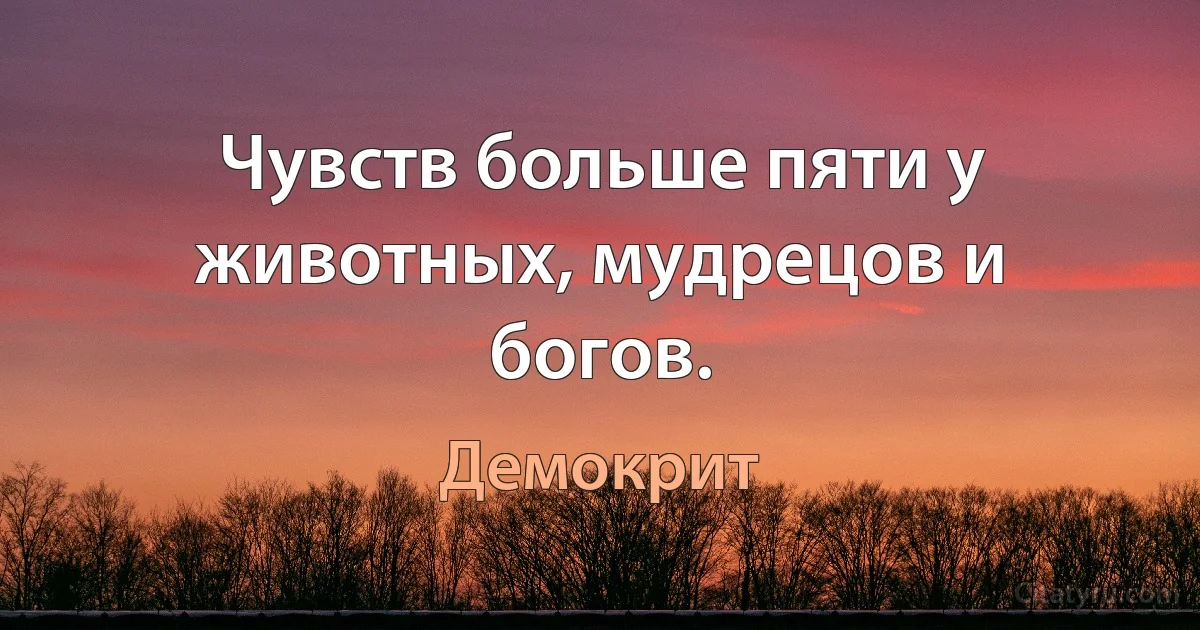 Чувств больше пяти у животных, мудрецов и богов. (Демокрит)