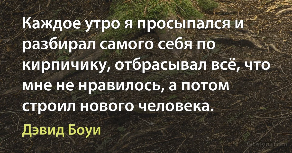 Каждое утро я просыпался и разбирал самого себя по кирпичику, отбрасывал всё, что мне не нравилось, а потом строил нового человека. (Дэвид Боуи)