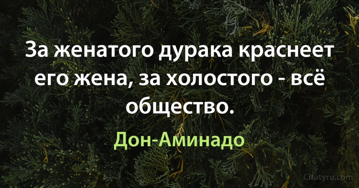 За женатого дурака краснеет его жена, за холостого - всё общество. (Дон-Аминадо)