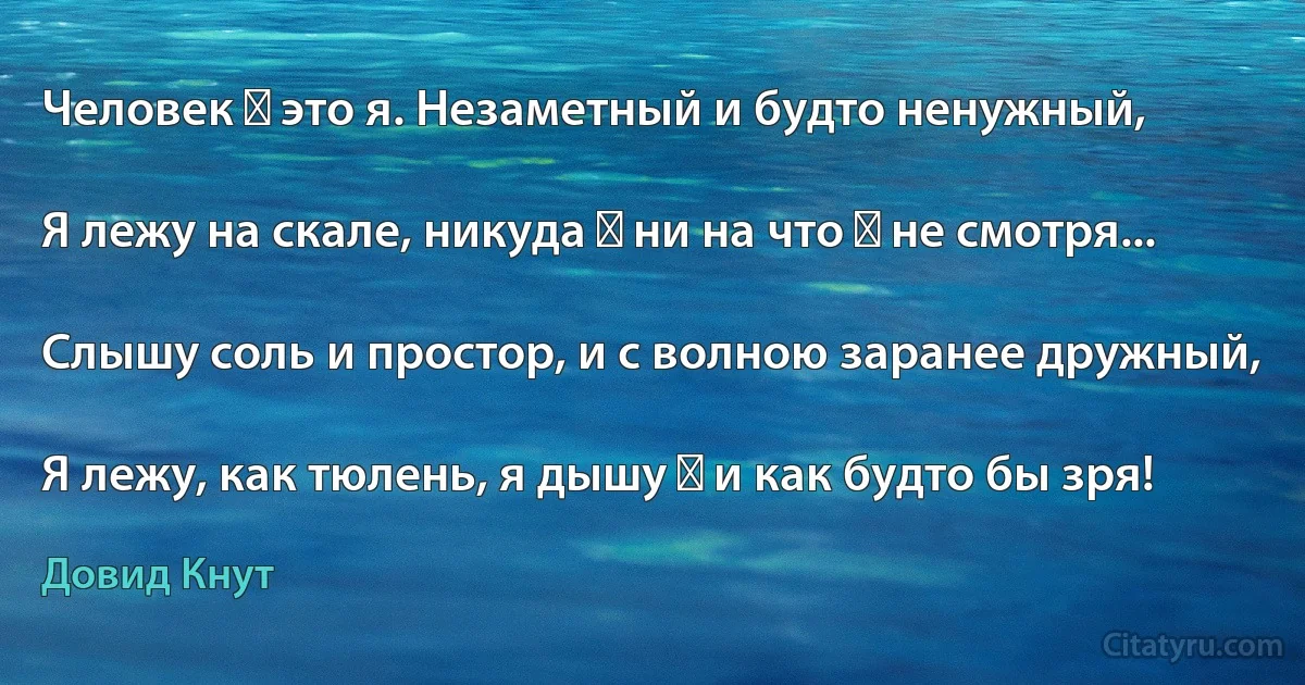 Человек ― это я. Незаметный и будто ненужный,

Я лежу на скале, никуда ― ни на что ― не смотря...

Слышу соль и простор, и с волною заранее дружный,

Я лежу, как тюлень, я дышу ― и как будто бы зря! (Довид Кнут)