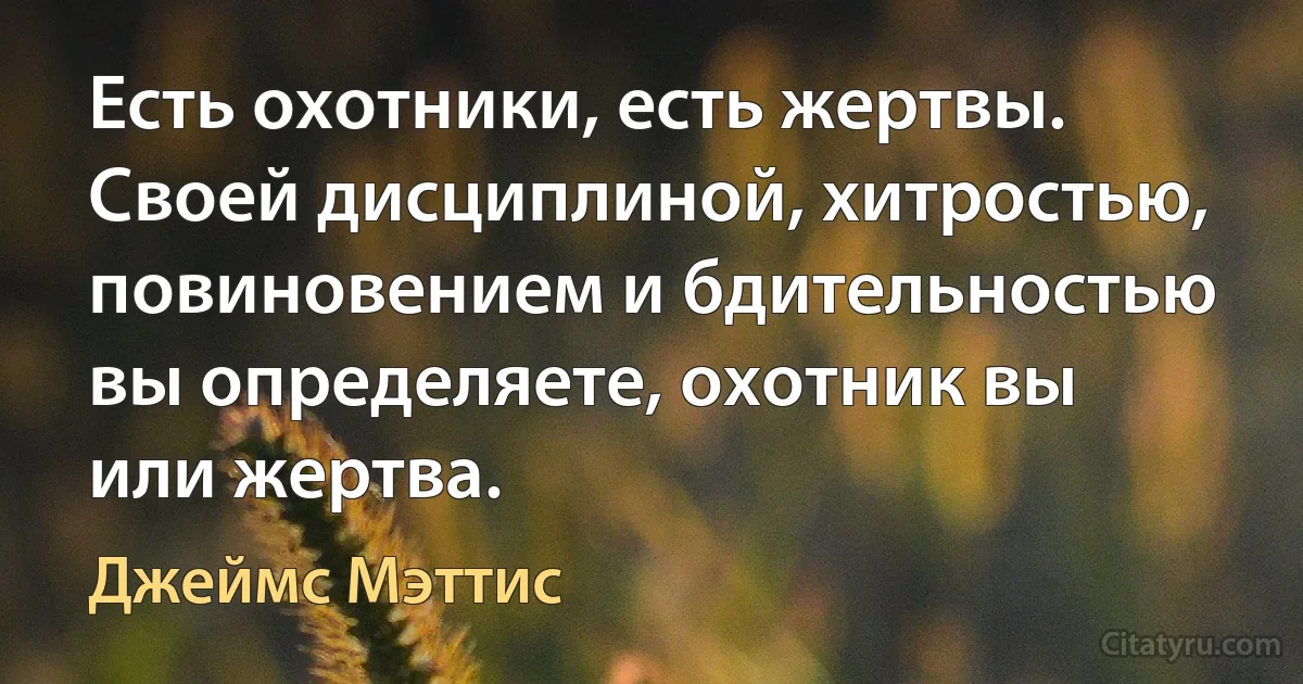 Есть охотники, есть жертвы. Своей дисциплиной, хитростью, повиновением и бдительностью вы определяете, охотник вы или жертва. (Джеймс Мэттис)