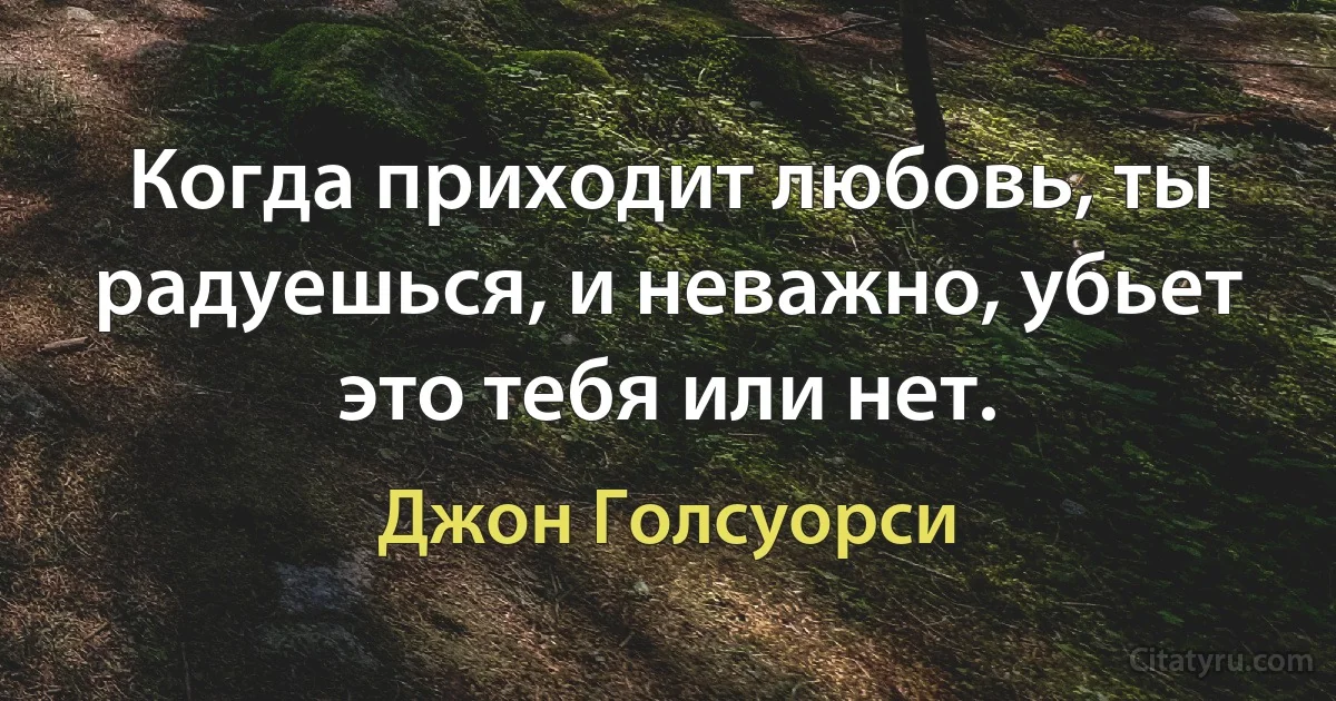 Когда приходит любовь, ты радуешься, и неважно, убьет это тебя или нет. (Джон Голсуорси)