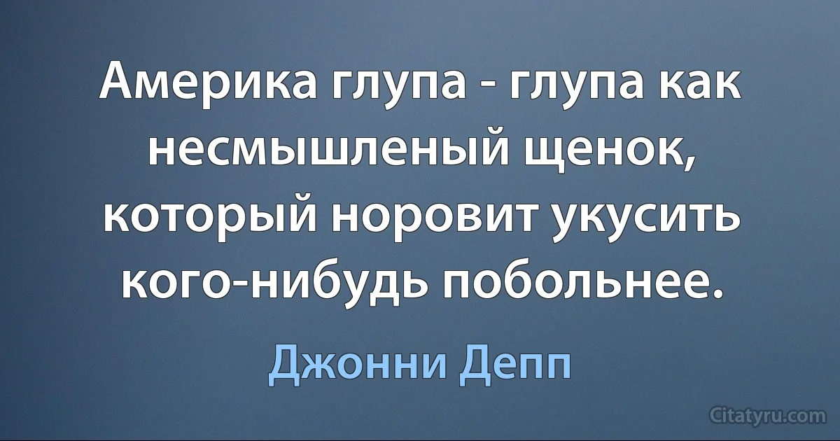 Америка глупа - глупа как несмышленый щенок, который норовит укусить кого-нибудь побольнее. (Джонни Депп)