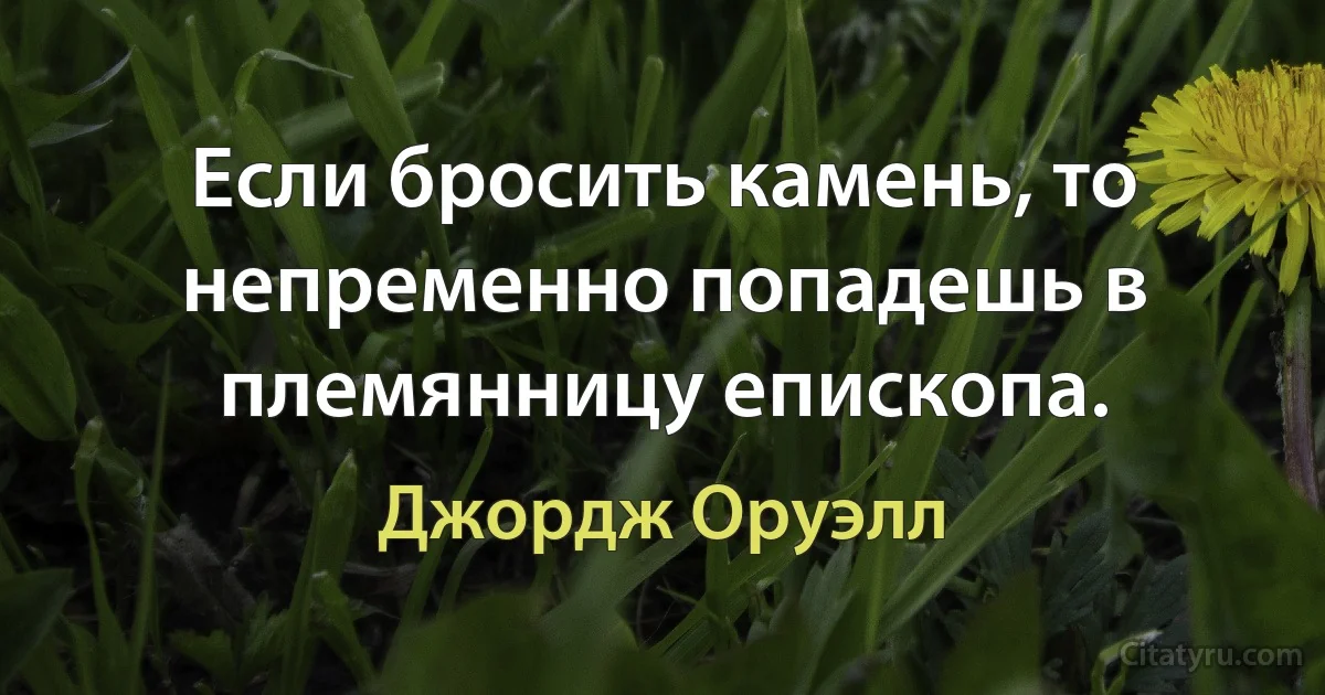 Если бросить камень, то непременно попадешь в племянницу епископа. (Джордж Оруэлл)