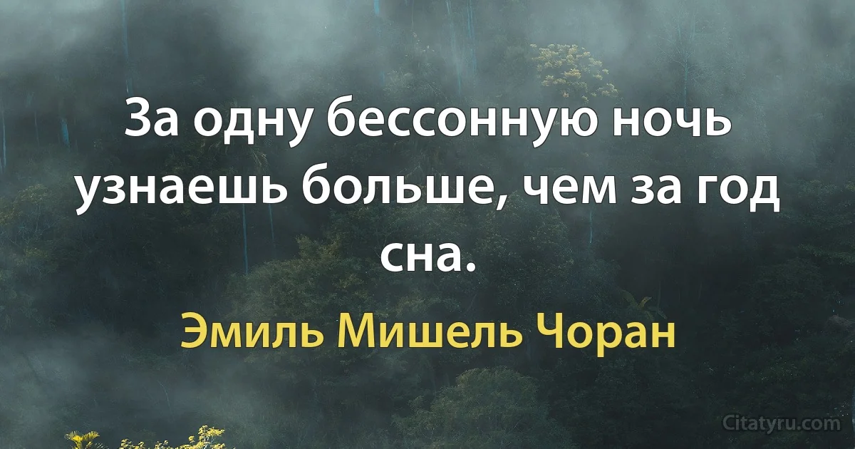 За одну бессонную ночь узнаешь больше, чем за год сна. (Эмиль Мишель Чоран)