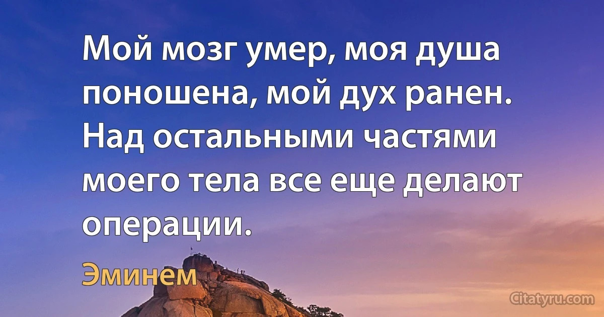 Мой мозг умер, моя душа поношена, мой дух ранен. Над остальными частями моего тела все еще делают операции. (Эминем)