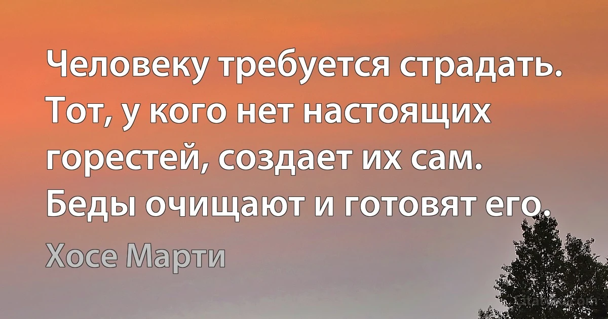 Человеку требуется страдать. Тот, у кого нет настоящих горестей, создает их сам. Беды очищают и готовят его. (Хосе Марти)