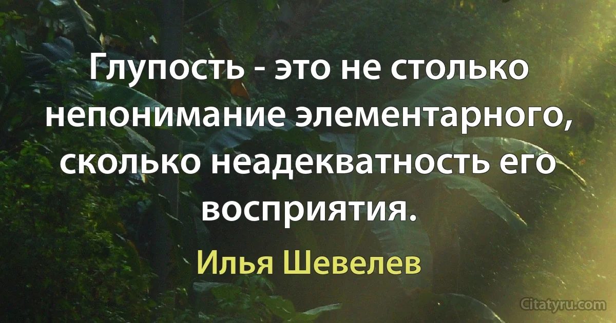 Глупость - это не столько непонимание элементарного, сколько неадекватность его восприятия. (Илья Шевелев)