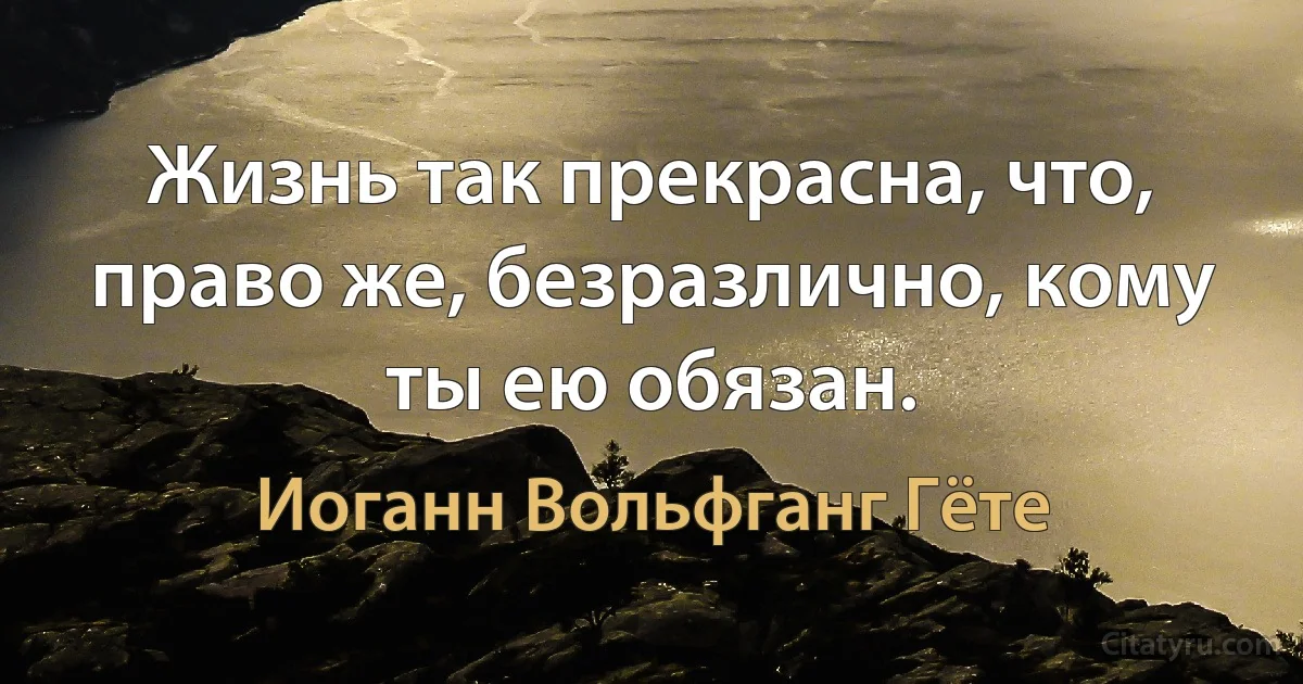 Жизнь так прекрасна, что, право же, безразлично, кому ты ею обязан. (Иоганн Вольфганг Гёте)