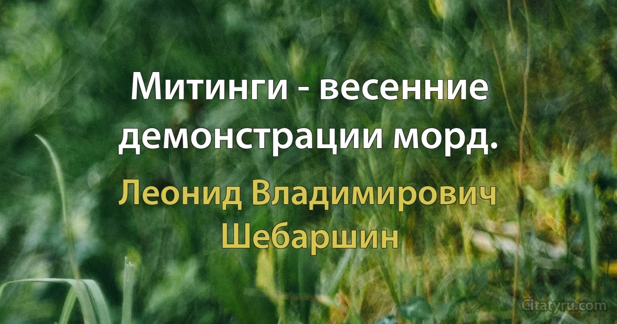 Митинги - весенние демонстрации морд. (Леонид Владимирович Шебаршин)