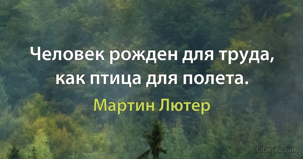 Человек рожден для труда, как птица для полета. (Мартин Лютер)