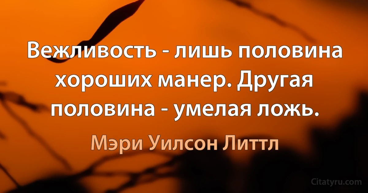 Вежливость - лишь половина хороших манер. Другая половина - умелая ложь. (Мэри Уилсон Литтл)