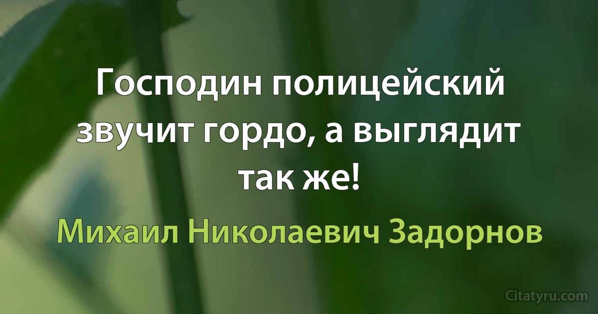 Господин полицейский звучит гордо, а выглядит так же! (Михаил Николаевич Задорнов)