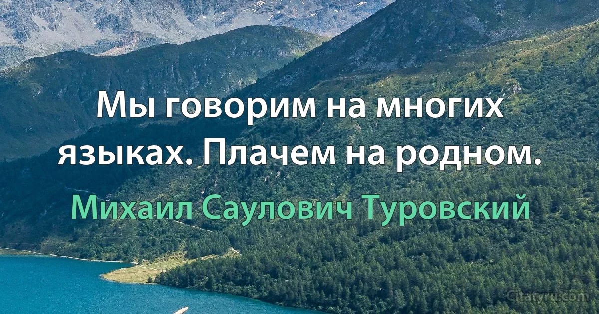 Мы говорим на многих языках. Плачем на родном. (Михаил Саулович Туровский)