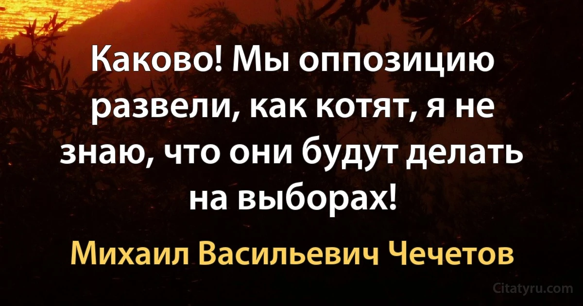 Каково! Мы оппозицию развели, как котят, я не знаю, что они будут делать на выборах! (Михаил Васильевич Чечетов)