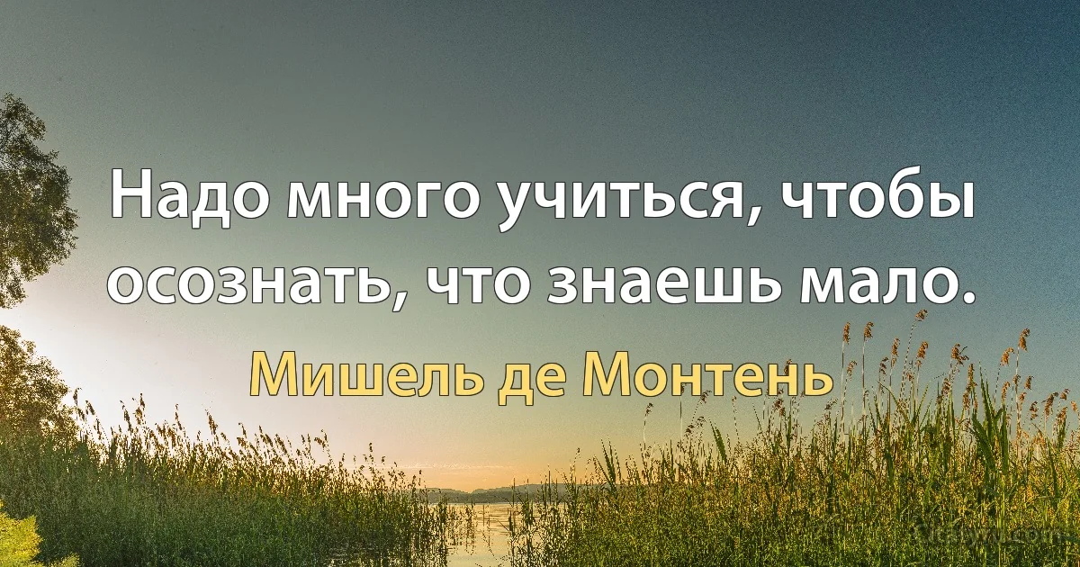 Надо много учиться, чтобы осознать, что знаешь мало. (Мишель де Монтень)